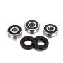 (image for) Rear Wheel Bearing Kit - FANTIC