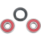 (image for) Rear Wheel Bearing and Seal Kit for Honda TR200 Fatcat 86-87