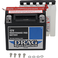 (image for) AGM Maintenance-Free Battery YTX14L-BSFT