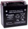 (image for) Yuasa High-Performance AGM Maintenance-Free Battery 2113-0034