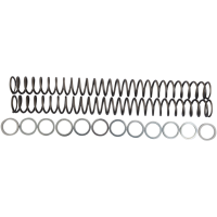 (image for) Race Tech Fork Spring 0405-0028