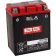 (image for) BS Battery SLA AGM 2113-0637