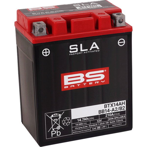 (image for) BS Battery SLA AGM 2113-0637