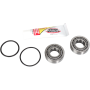 (image for) Pivot Works Steering Stem Bearing Kit - 0410-0194