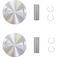 (image for) Replacement Piston Kit