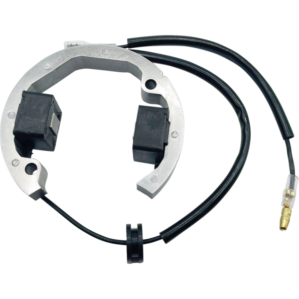 (image for) Rick's Motorsport Electrics Stator 2112-1736