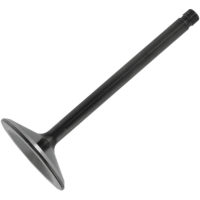 (image for) Nitrided Intake Valve Standard