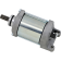 (image for) Starter Motor