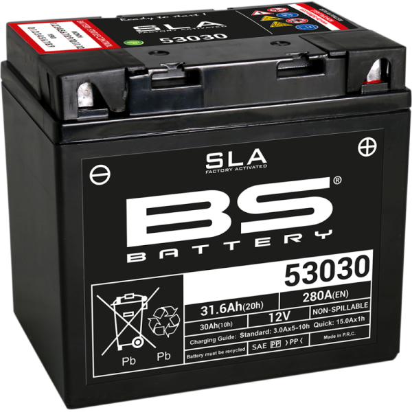 (image for) BS Battery SLA AGM 2113-0617