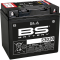 (image for) BS Battery SLA AGM 2113-0617