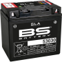 (image for) BS Battery SLA AGM 2113-0617