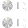 (image for) Replacement Piston Kit