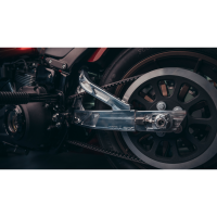 (image for) Billet Aluminum Swingarm Kit for Softail 2018-2024