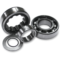 (image for) Outer Cam Bearing Kit (Chain Drive)