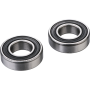 (image for) Front Wheel Bearing Kit - TM