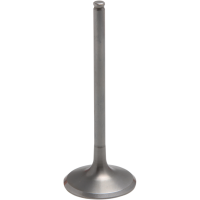 (image for) Tensilite Titanium Exhaust Valve