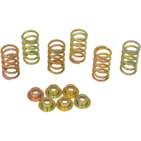 (image for) Clutch Springs 1131-0078 for Ducati Smart 1000/Sport 1000 06