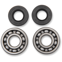 (image for) Main Bearing and Seal Kit - SUZUKI RM100 03