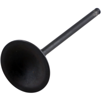 (image for) Black Diamond Intake Valve