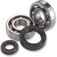 (image for) Crank Bearing and Seal Kit - HONDA CR125R 86-07