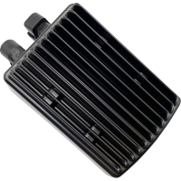 (image for) Regulator/Rectifier 2112-1669