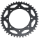 (image for) JT Sprockets Steel Rear Sprocket - 42T