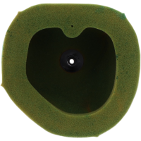 (image for) Twin Air Pre-Oiled Filter 1011-4413