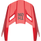 (image for) Replacement Visor, Forge red