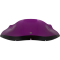 (image for) Kolor Flare 9" Windshield Purple