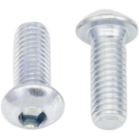 (image for) Replacement Button-Head Allen Bolt M6 x 16