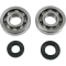 (image for) Crank Bearing and Seal Kit - KAWASAKI KX250 02-07