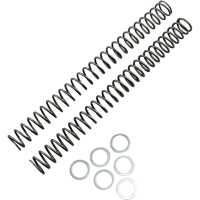 (image for) Race Tech Fork Spring 0405-0095