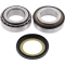 (image for) Steering Stem Bearing Kit 0410-0125