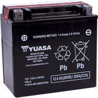 (image for) Yuasa AGM Maintenance-Free Battery YTX14-BS
