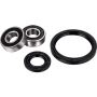 (image for) Front Wheel Bearing Kit - KAWASAKI