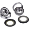 (image for) OEM Series Steering Stem Bearing Kit 0401-0110
