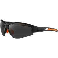 (image for) Bobster Swift Sunglasses