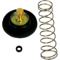 (image for) Carburetor Air Cut-Off Valve Set