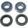 (image for) Wheel Bearing Kit 0215-0227