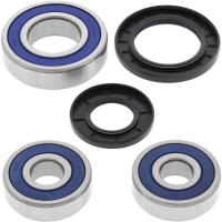(image for) Rear Wheel Bearing and Seal Kit for Kawasaki ZRX1200 R/S/AE 98-03