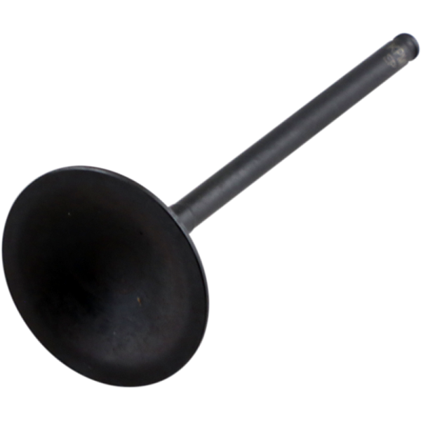 (image for) KIBBLEWHITE Black Diamond Intake Valve