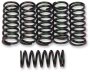 (image for) Barnett Clutch Springs for Kawasaki ZZR1200 02-05