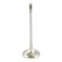 (image for) Extreme-Duty Tulip Exhaust Valve