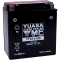(image for) Yuasa AGM Maintenance-Free Battery YTX16-BS