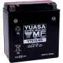 (image for) Yuasa AGM Maintenance-Free Battery YTX16-BS