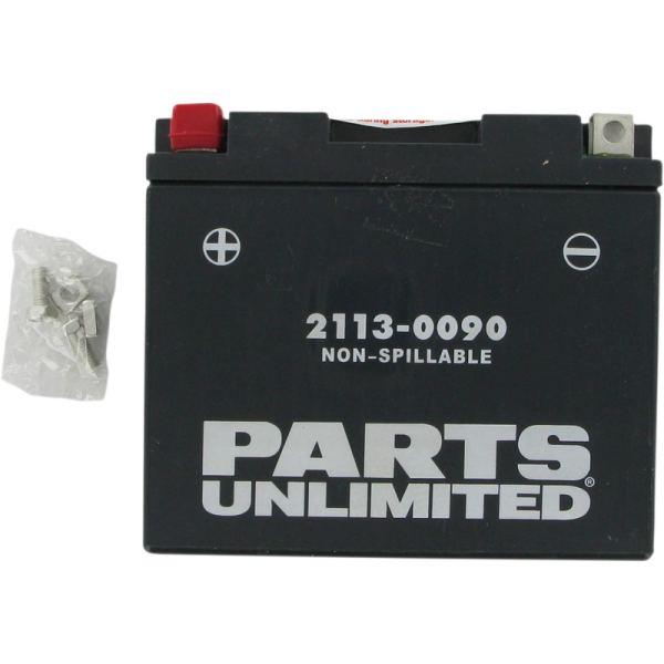 (image for) PARTS UNLIMITED BATTERIES Factory-Activated AGM Maintenance-Free Battery YT12B-BS/YT12B4