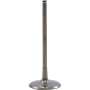 (image for) Tensilite Titanium Intake Valve
