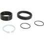 (image for) Countershaft Seal Kit 0935-0841