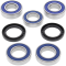 (image for) Rear Wheel Bearing and Seal Kit for Honda CBR1000RR 04-07