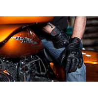 (image for) 12V Vanguard Heated Gloves - M
